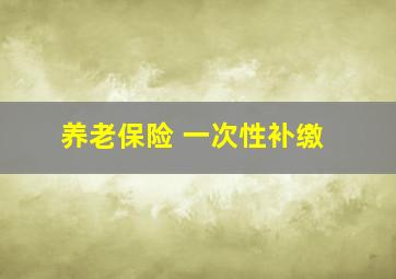 养老保险 一次性补缴